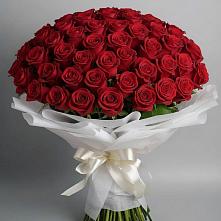 Букет 101 Красная роза Блэк Мэджик в Струнино