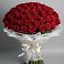 Букет 101 Красная роза Блэк Мэджик в Струнино