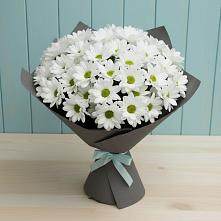 Букет цветов из:  Хризантемы #REPLACE_PRED# Струнино