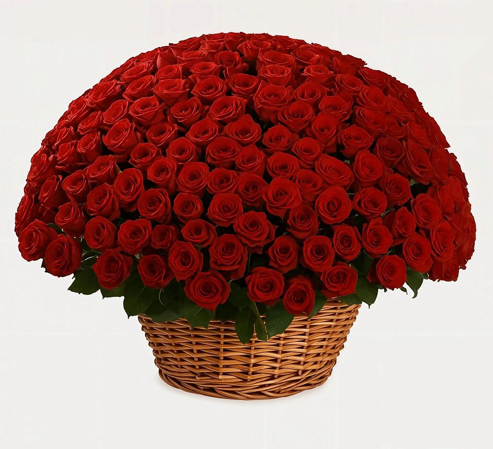 Премиум букет из: Розы в Струнино