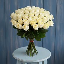 Букет 51 Белая роза Эдлесс Лав #REPLACE_PRED# Струнино