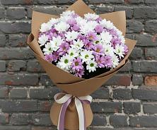 Букет цветов из:  Хризантемы #REPLACE_PRED# Струнино