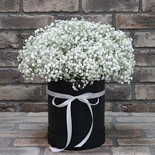 Цветочная композиция из Гипсофила в шляпной коробке в Струнино