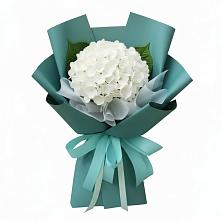 Букет цветов из:  Гортензия в Струнино